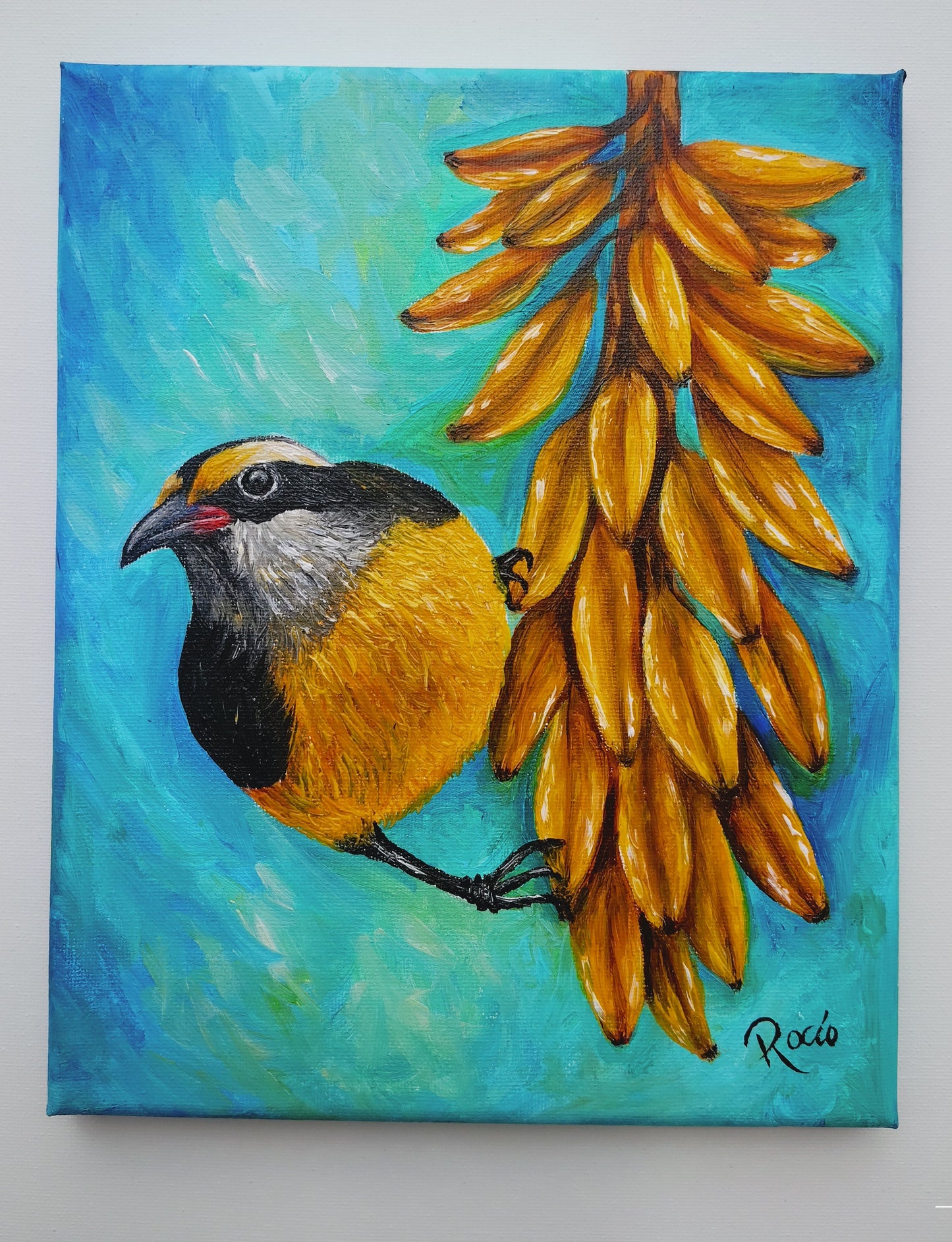 Reinita / Pintura en acrílico / 8"x 10"